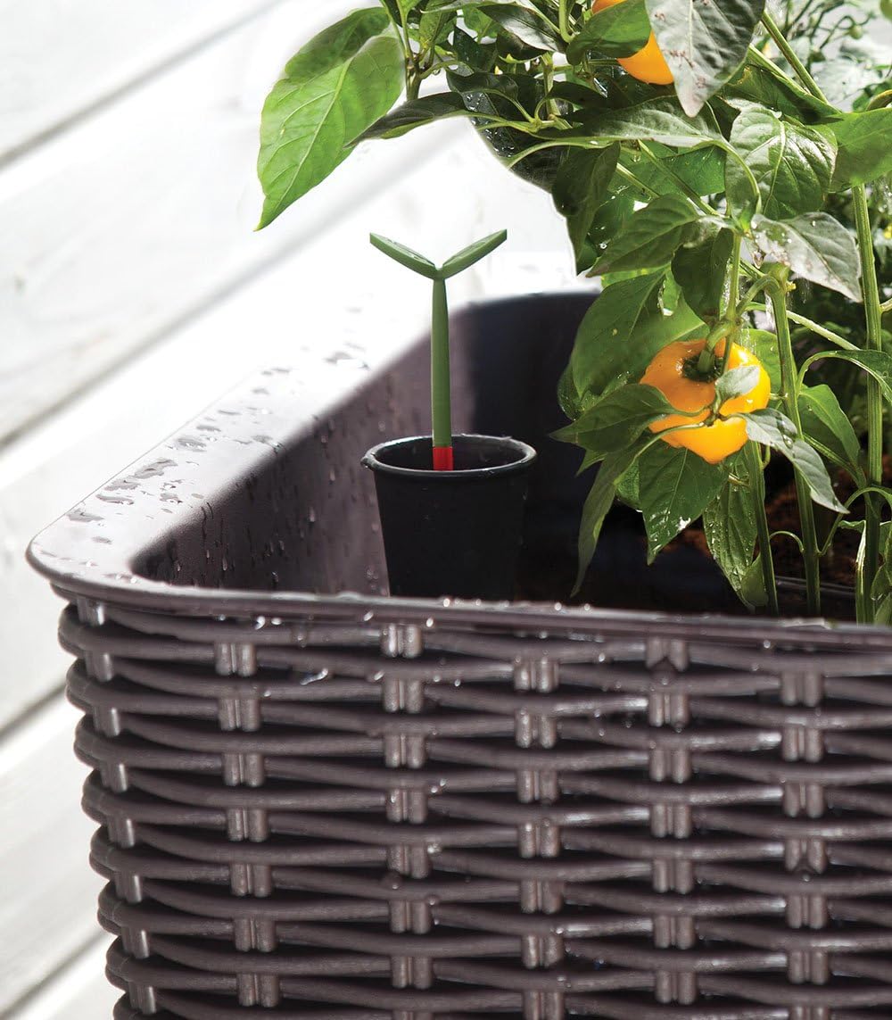 Keter Easy Grow Resin Self Watering Raised Garden Planter Dark Brown