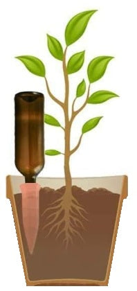 Greenlife Terracotta Self-watering Plant Pot Spikes - 4 PACK