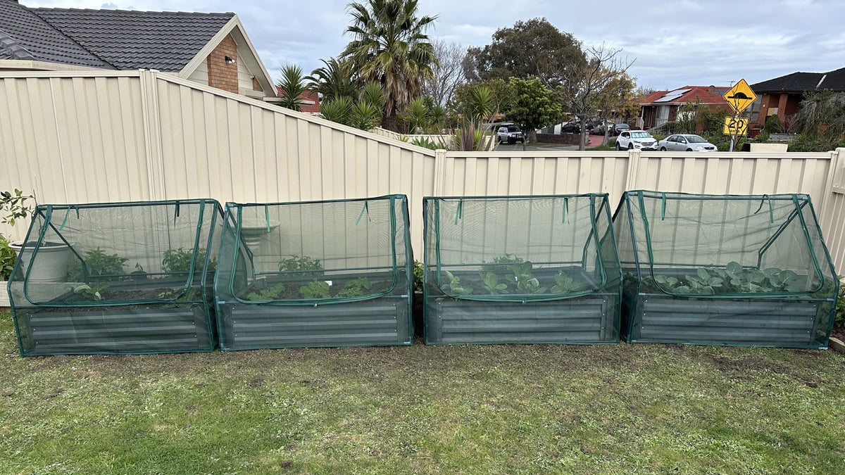 Greenlife Drop Over PE Greenhouse + Netting Cover 1250 x 950 x 920mm