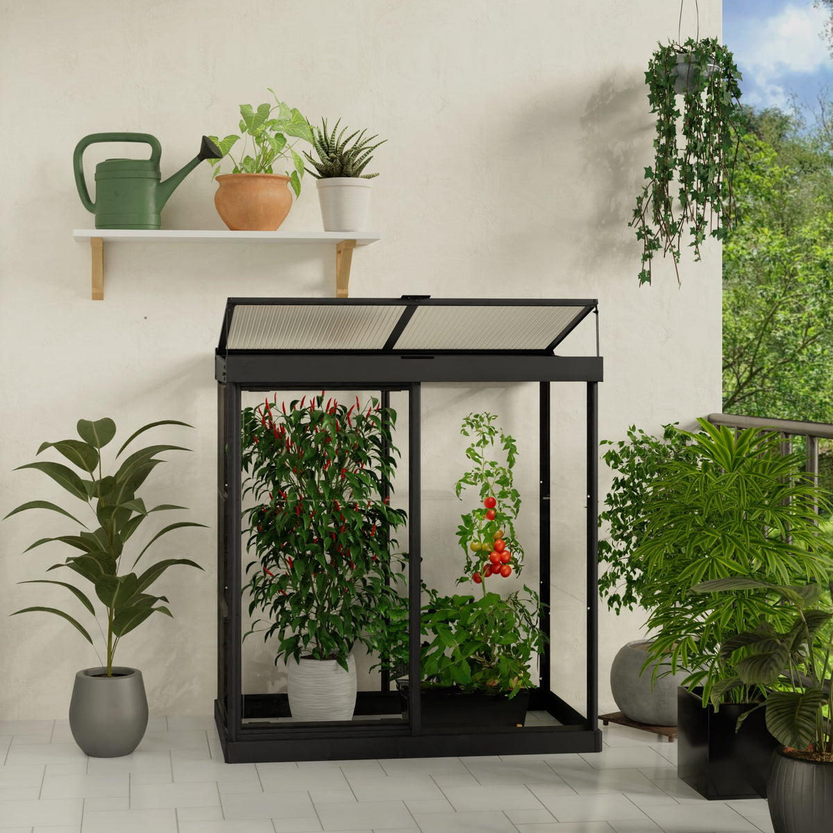 Maze Ivy Premium Polycarbonate Mini Greenhouse 4′ X 2′ – Black Frame