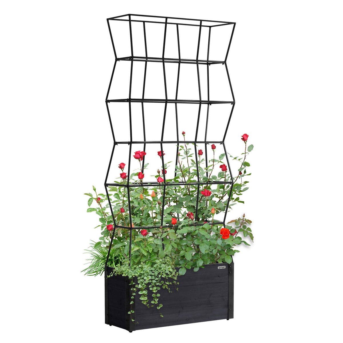 A rectangular charcoal planter box with a black trellis frame, filled with various plants and greenery.