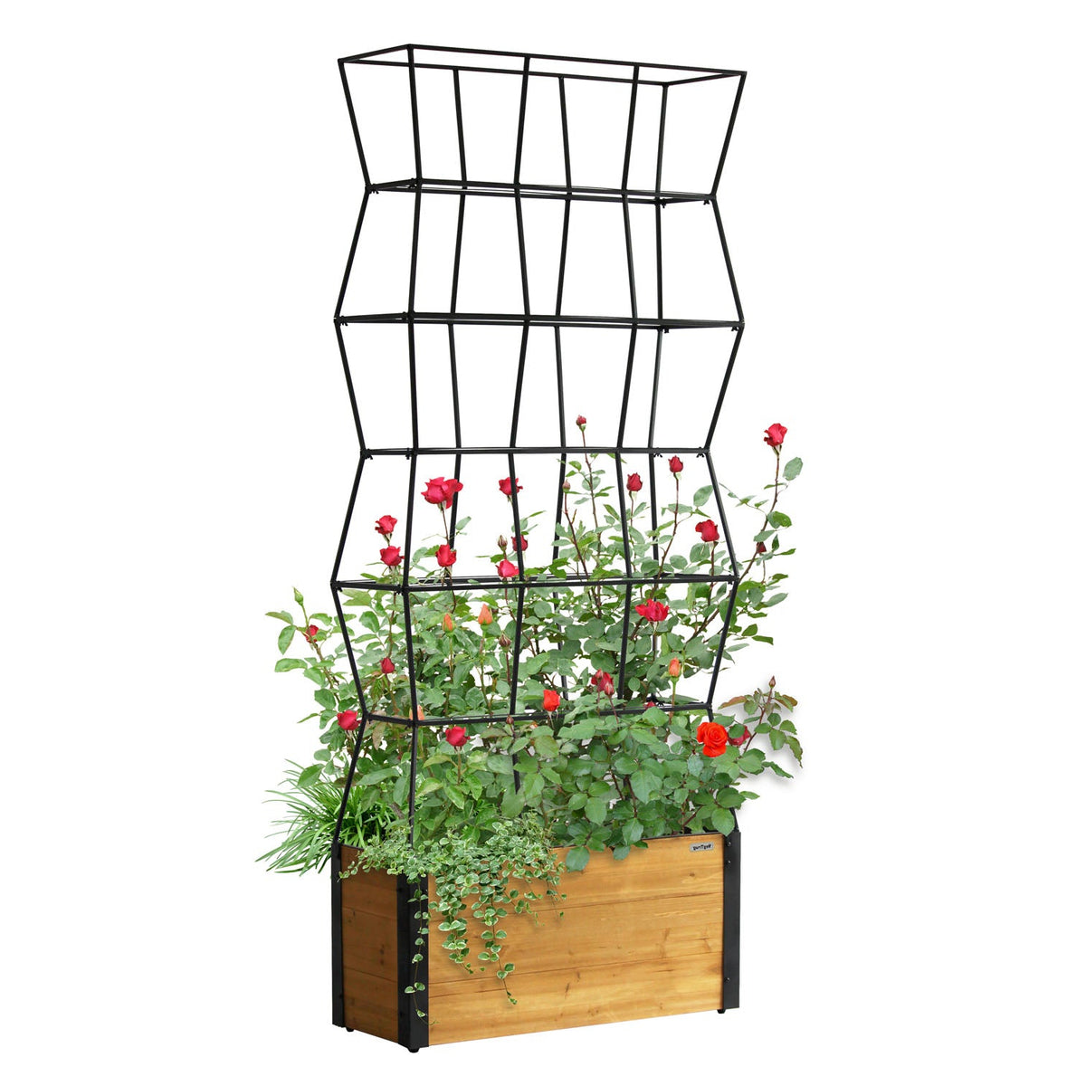 VegTrug Timber Planter Box with Partition Trellis - Natural Finish