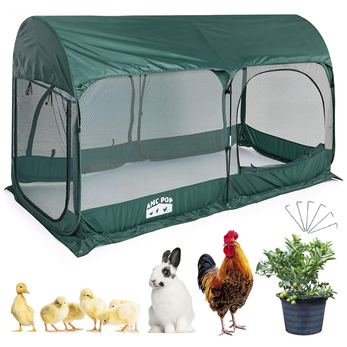 Maze Pop Up Portable Chicken Run Coop - Green