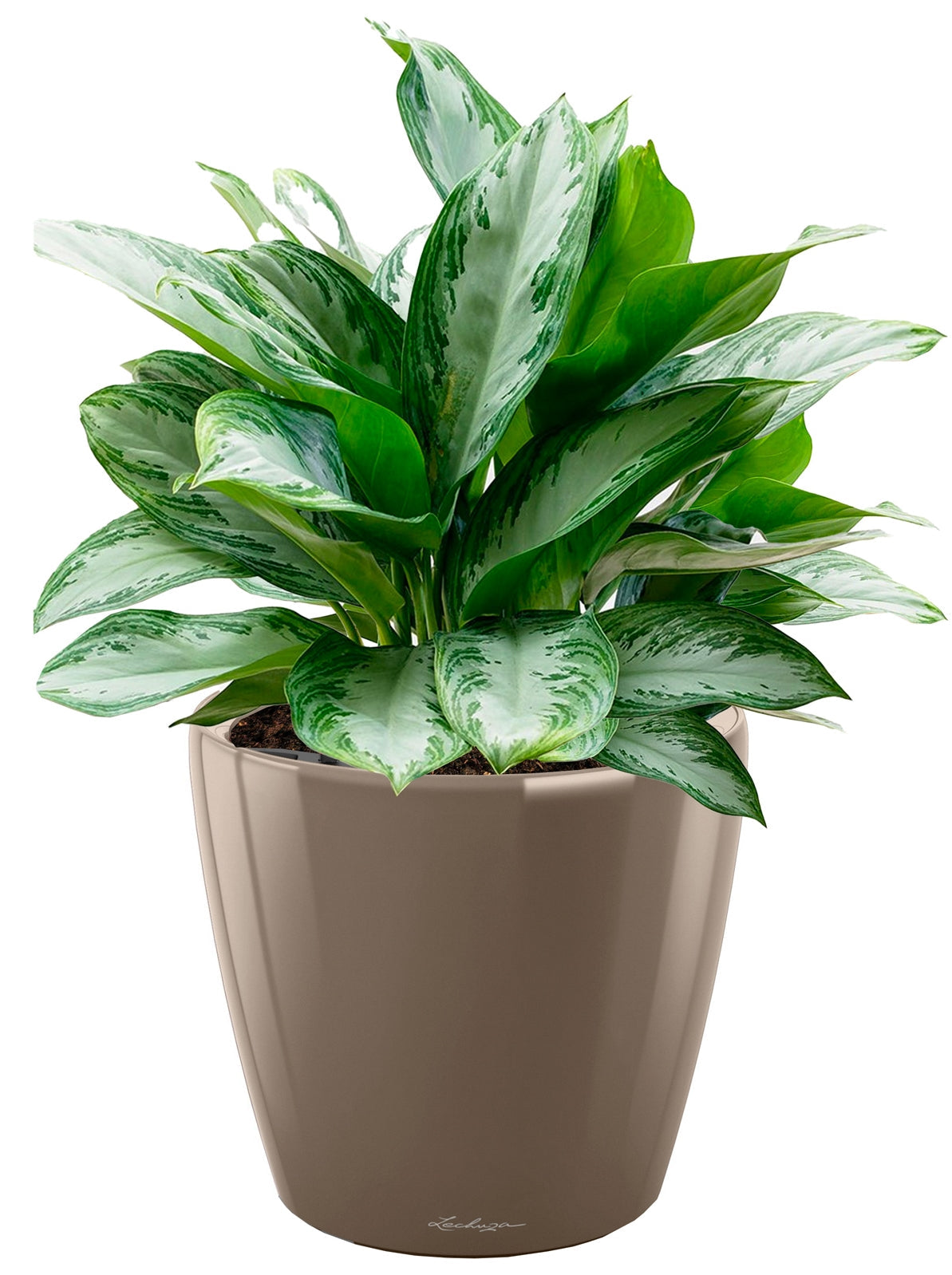 Lechuza CLASSICO LS 35 PREMIUM Self-Watering Pot