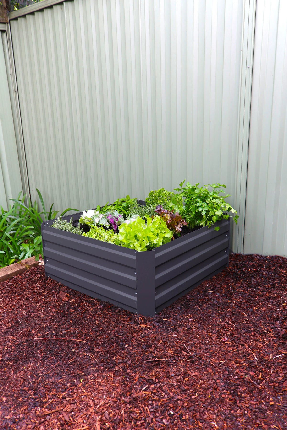Greenlife Square Garden Bed Charcoal + Drop Over PE Greenhouse 900 x 900 x 1020