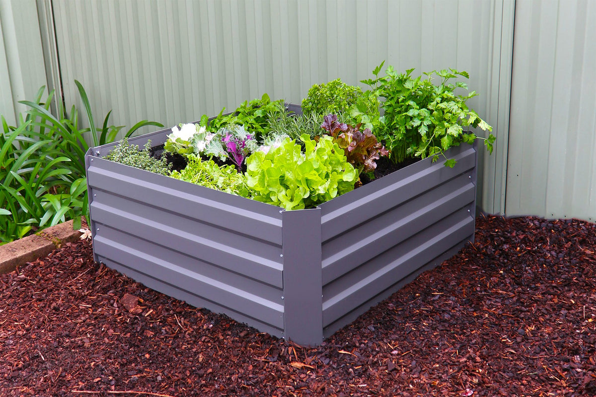 Greenlife Raised Metal Garden Bed + PE Drop Over Greenhouse + Gardening Gloves