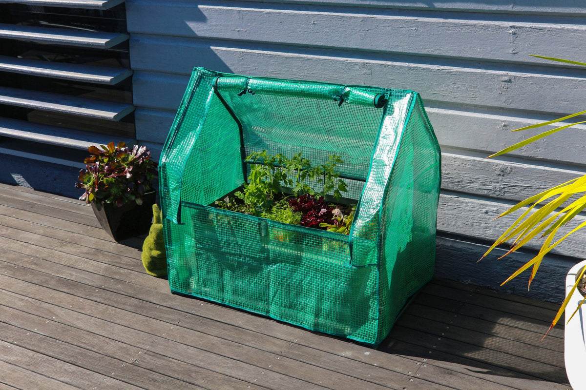 Greenlife Mini Patio Drop Over PE Greenhouse 880 x 580 x 820mm