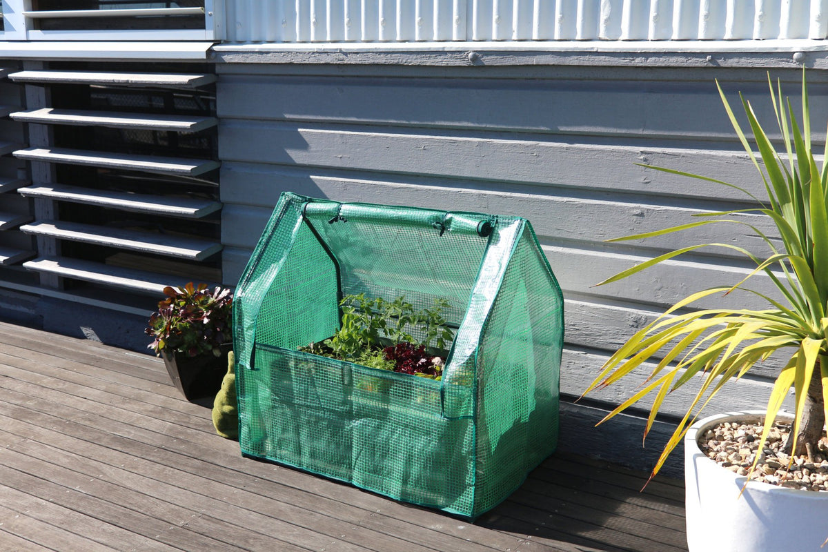 Greenlife Mini Patio Drop Over PE Greenhouse 880 x 580 x 820mm
