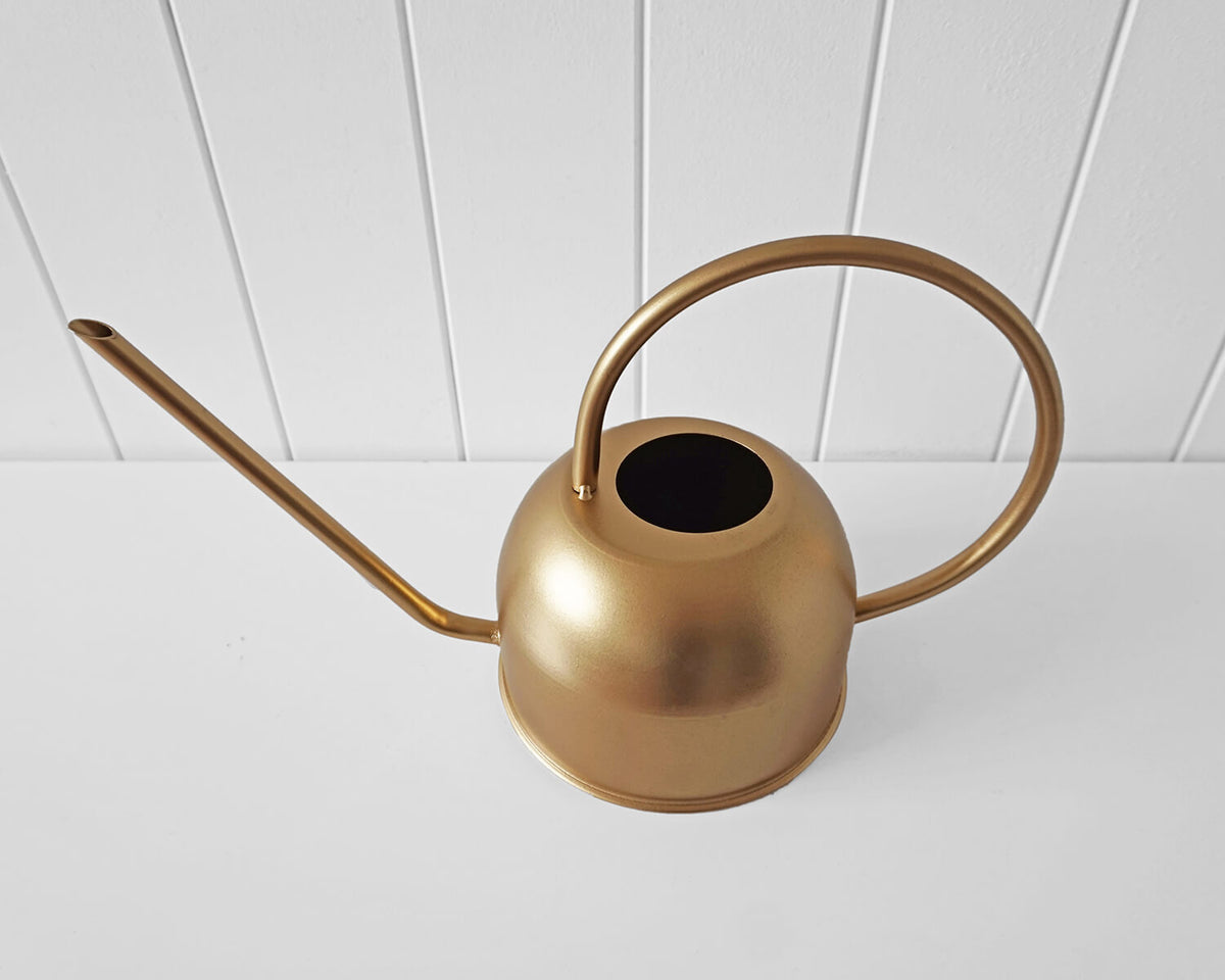 Rayell Metal Watering Can - Dorothy - Gold