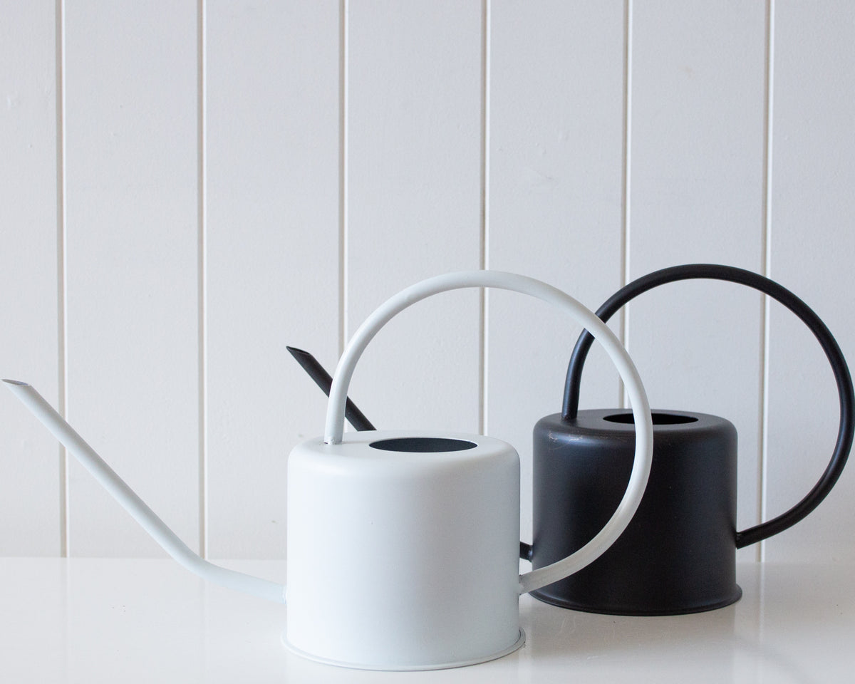 Rayell Metal Watering Can - Croy - White