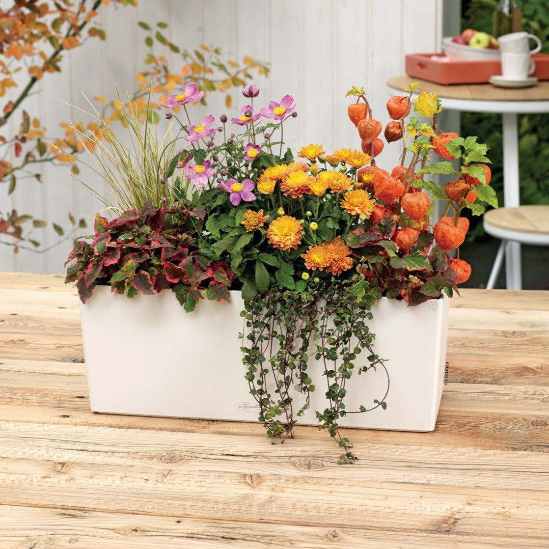 Lechuza BALCONERA Color 50 Self-Watering Plastic Planter Box