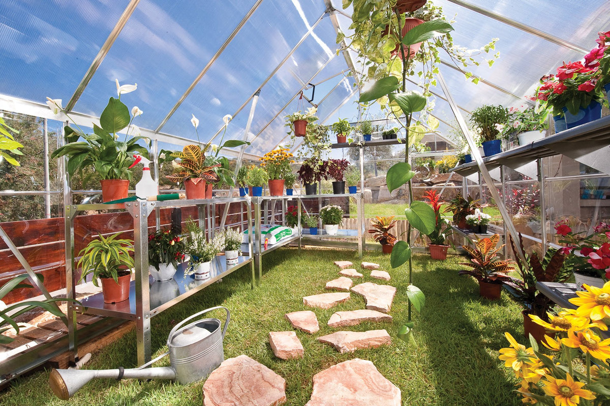 Maze Balance Polycarbonate Greenhouse 8' x 20' Silver (2.5m x 6.1m)