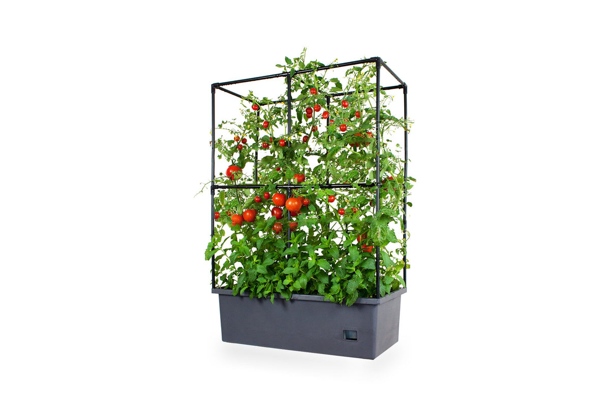 Greenlife Self-Watering Mobile Planter Box with Greenhouse & Netting