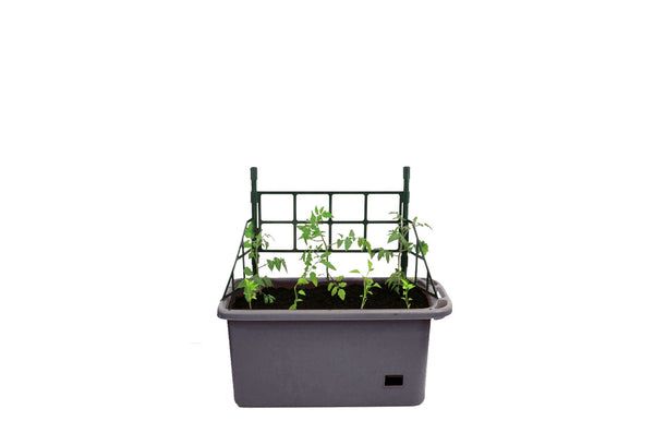 Greenlife Mobile Vege Patch with Self Watering Pot - Slate Grey