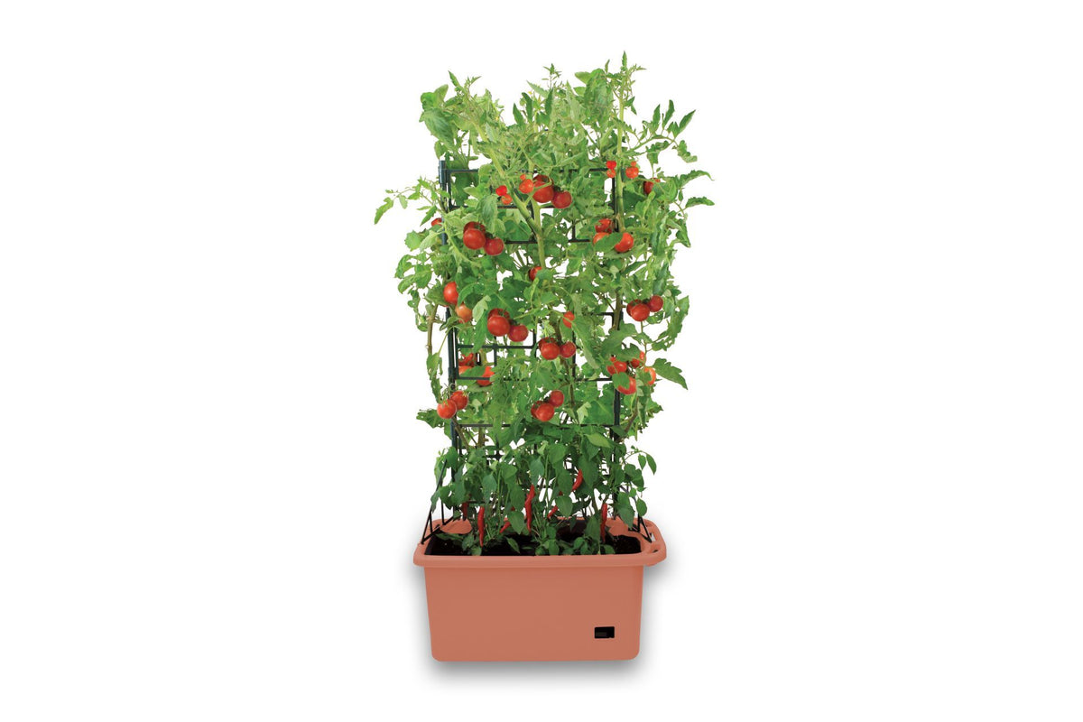 Greenlife Mobile Vege Patch with Self Watering Pot - Terracotta