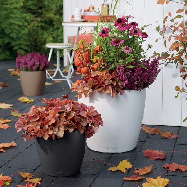 Lechuza Self-Watering Pot - CLASSICO Color 21