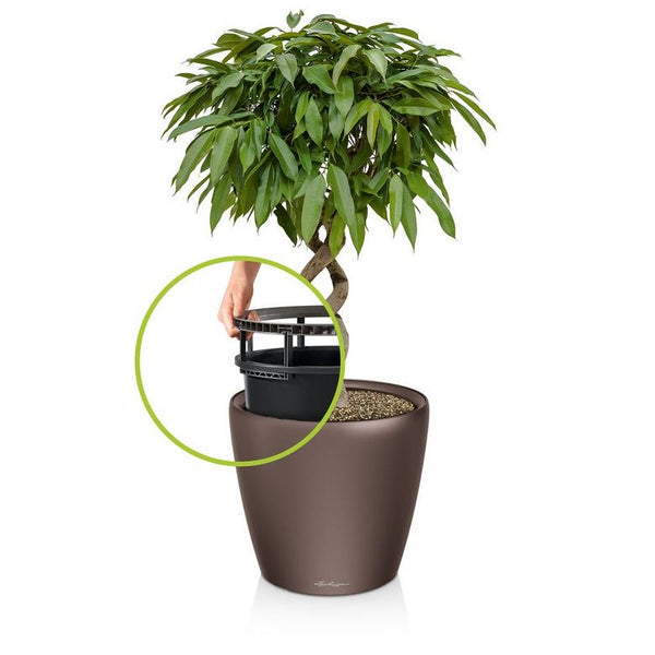Lechuza Self-Watering Pot - CLASSICO LS 50 Premium