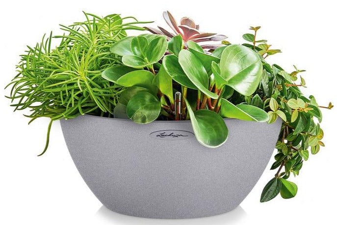 Lechuza Self-Watering Pot - CUBETO Stone 30 Bowl