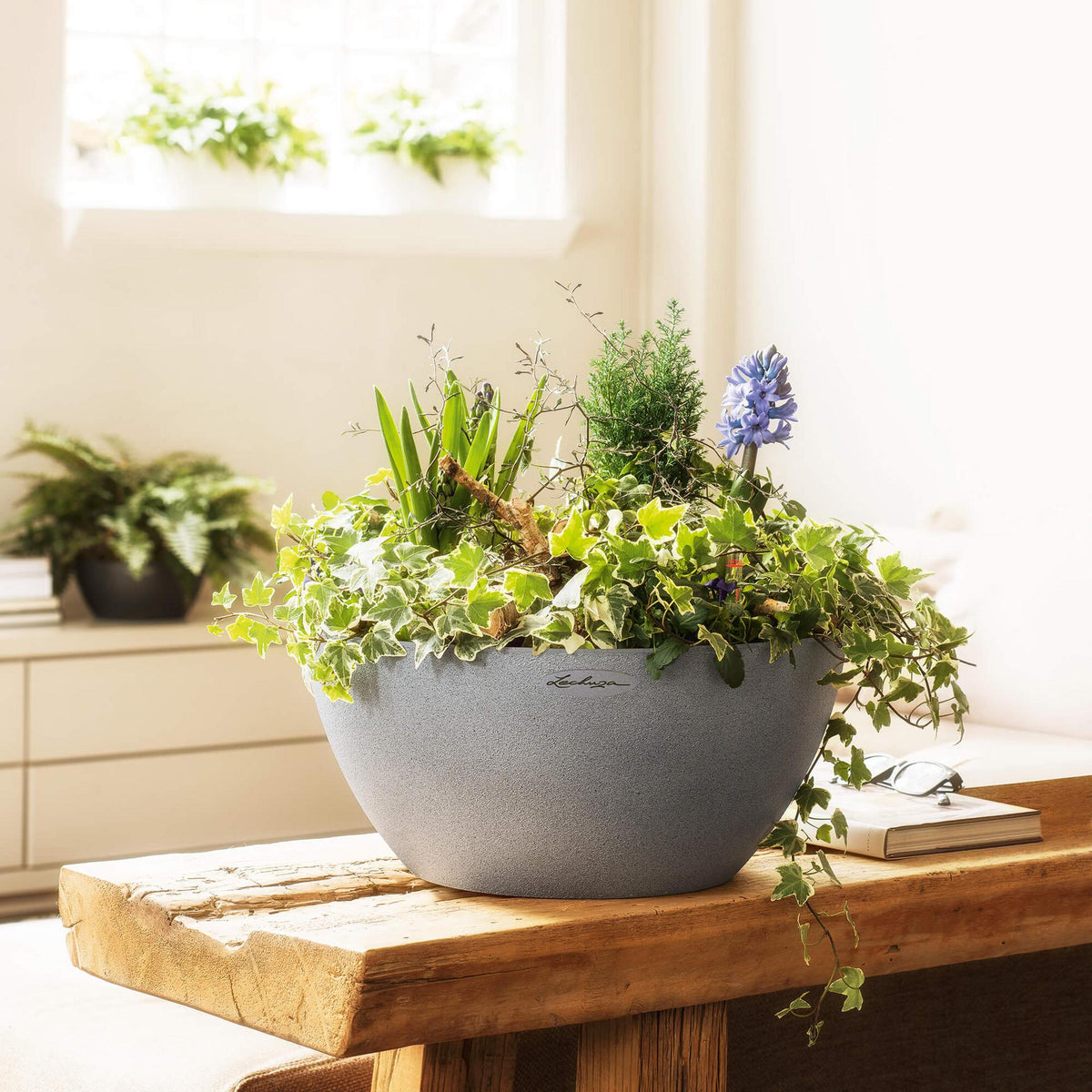 Lechuza Self-Watering Pot - CUBETO Stone 30 Bowl