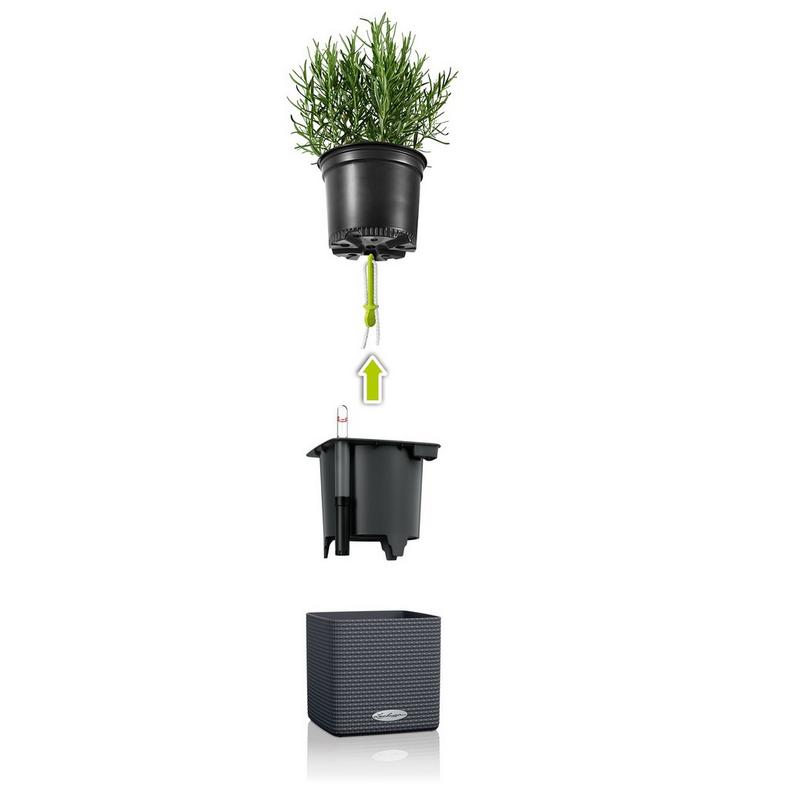 Lechuza Self-Watering Pot - PURO CUBE Color 16