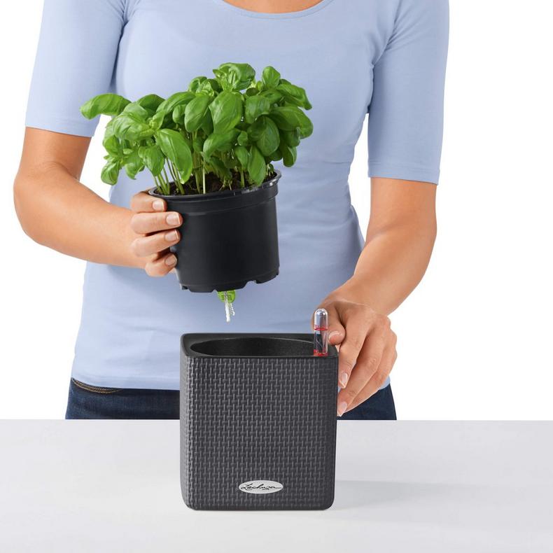Lechuza Self-Watering Pot - PURO CUBE Color 16