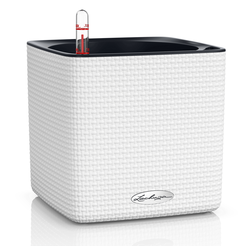 Lechuza Self-Watering Pot - PURO CUBE Color 16