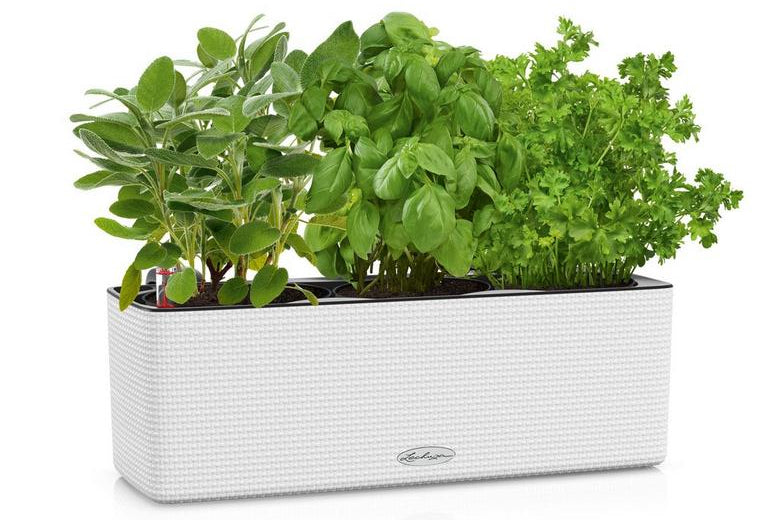Lechuza Self-Watering Planter Box - PURO CUBE Color Triple