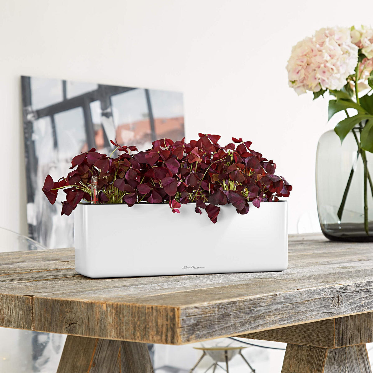 Lechuza Self Watering Planter Box - Glossy CUBE Triple