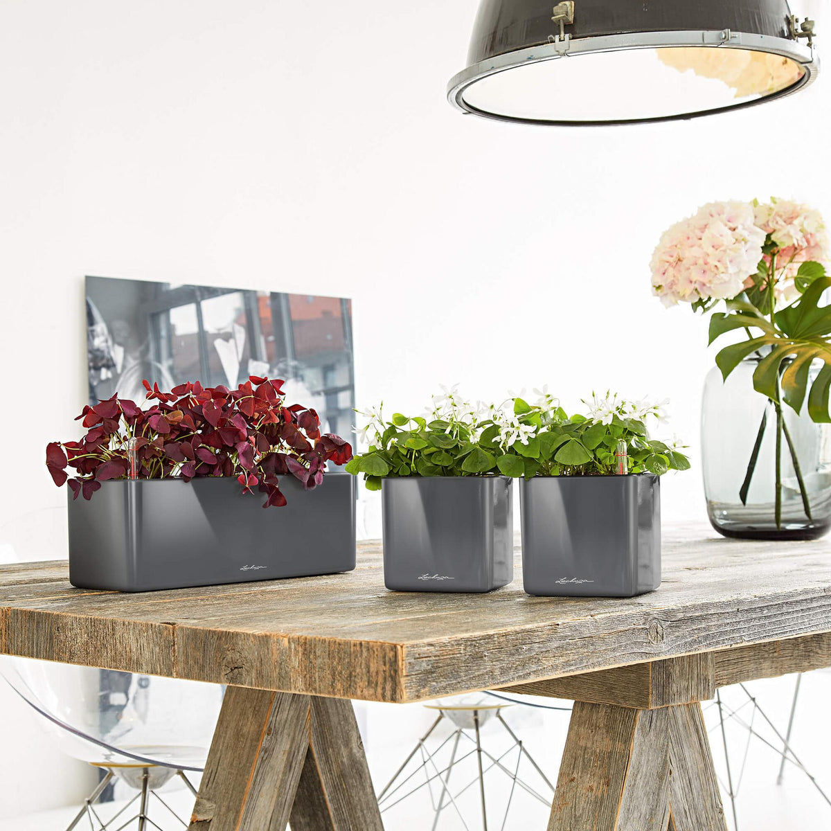 Lechuza Self Watering Planter Box - Glossy CUBE Triple