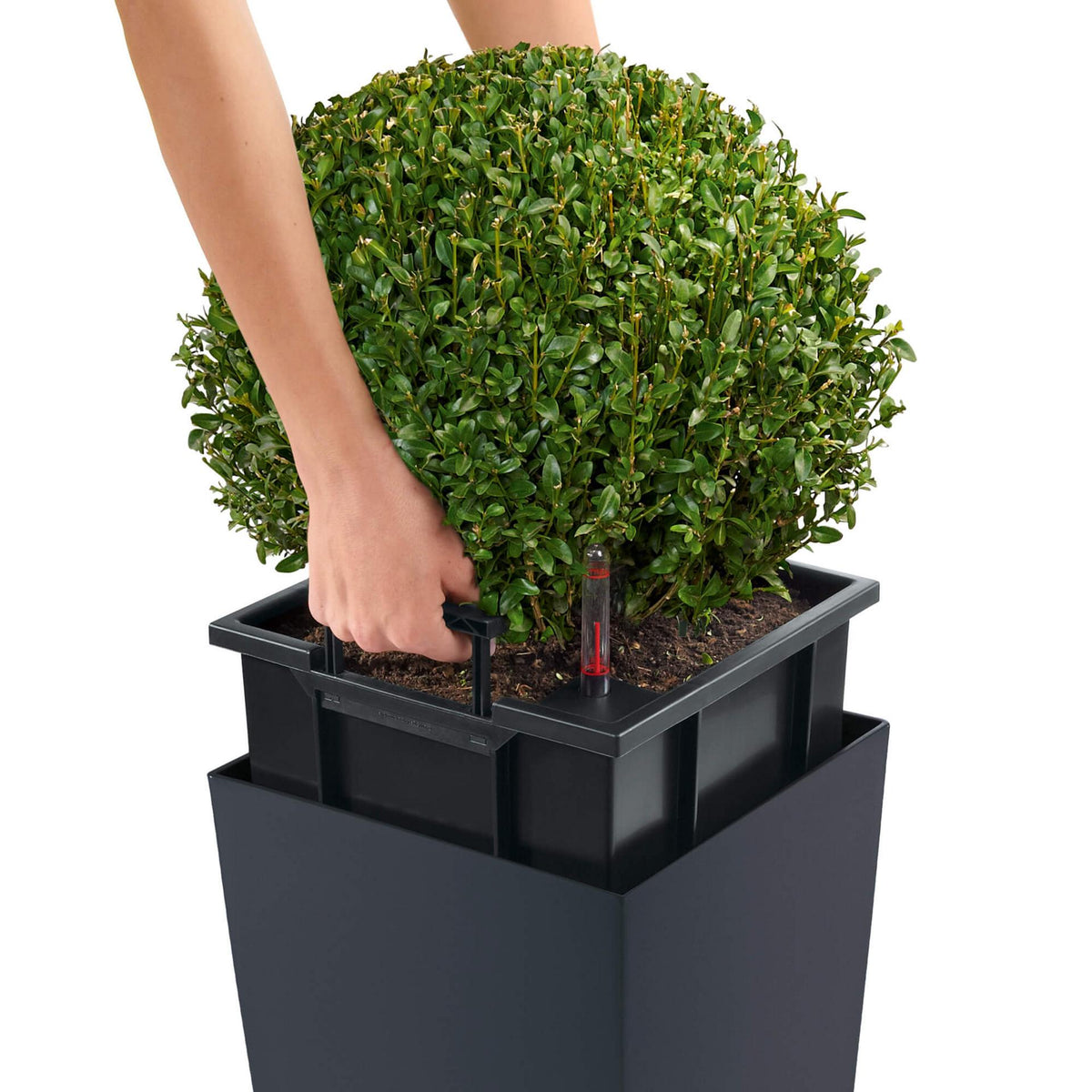 Lechuza Self-Watering Pot - CUBICO Color 40