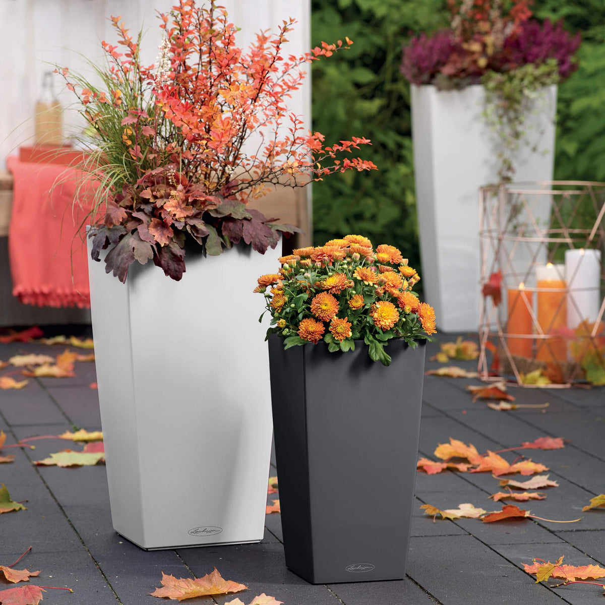 Lechuza Self-Watering Pot - CUBICO Color 40