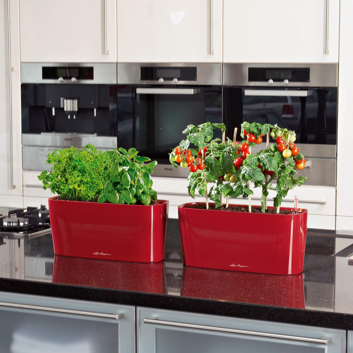 Lechuza DELTA 20 Self-Watering Planter Box