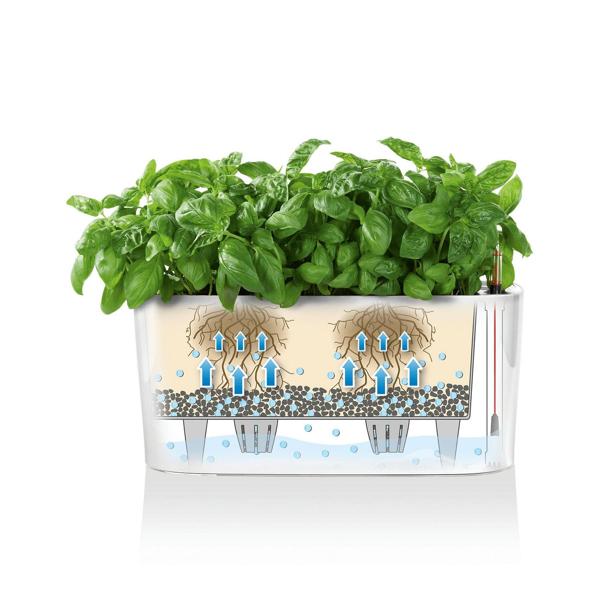 Lechuza DELTA 20 Self-Watering Planter Box