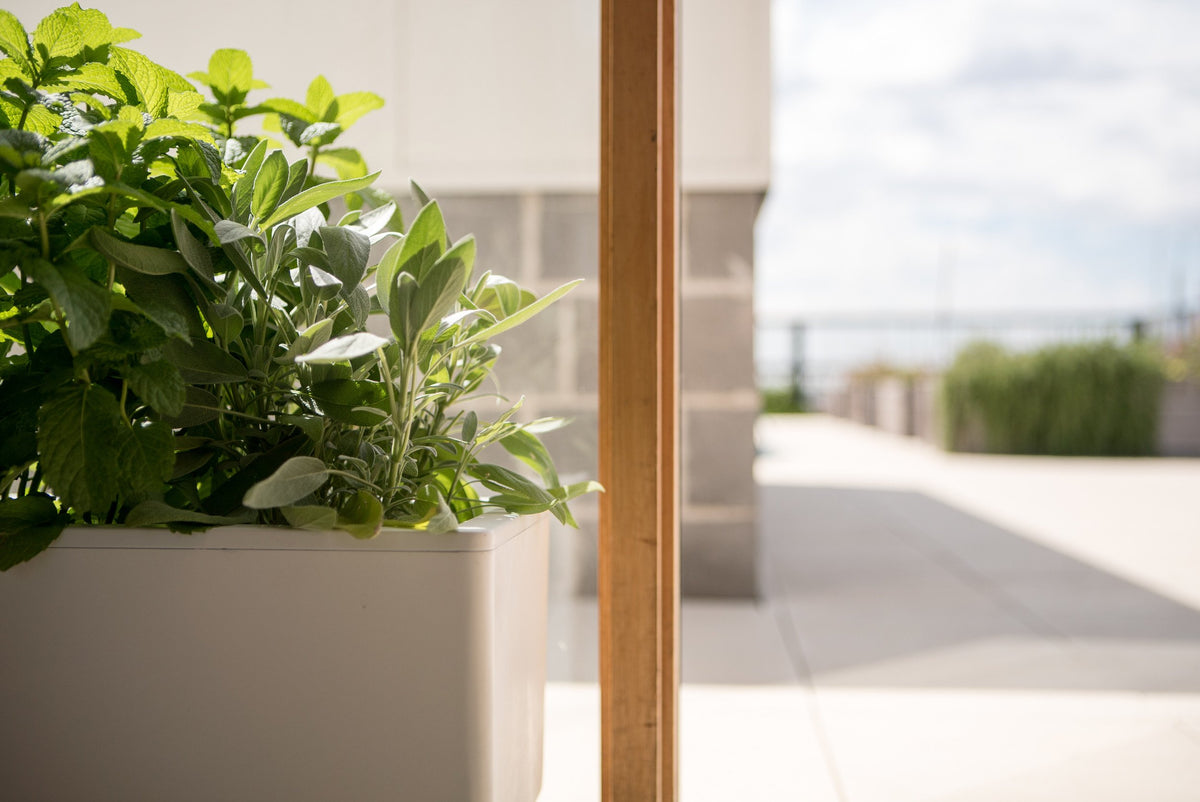 Glowpear Mini Bench Planter - Self Watering Raised Garden Planter Box