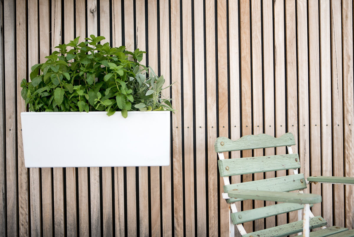 Glowpear Mini Wall Planter - Self Watering Vertical Garden Planter Box