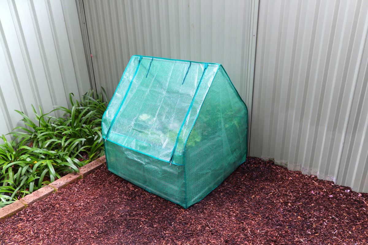 Greenlife Square Garden Bed Slate Grey + PE Greenhouse 900 x 900 x 1020