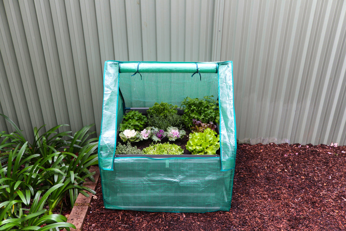 Greenlife Square Garden Bed 450H Slate Grey + PE Greenhouse 900 x 900 x 1020