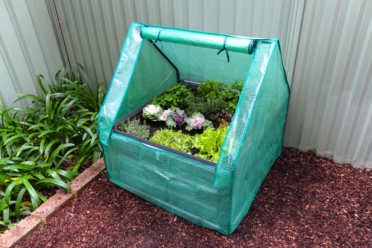 Greenlife Square Drop Over Greenhouse with PE Cover 900 x 900 x 1020mm
