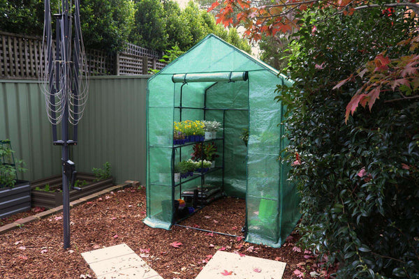Greenlife 4 Tier Large Walk-in Greenhouse with PE Cover - 1950 x 1430 x 1430mm