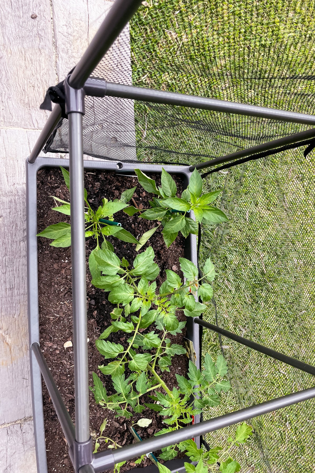Greenlife Self-Watering Mobile Planter Box with Greenhouse & Netting