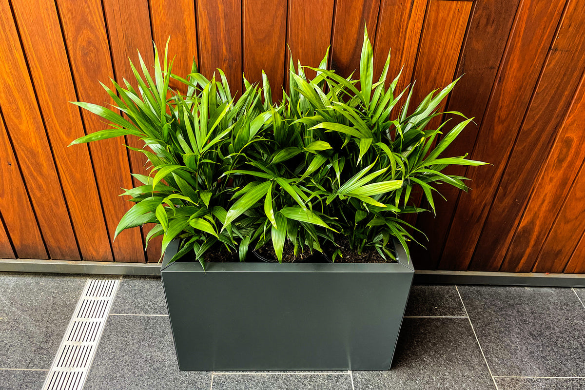 Greenlife Metal Designer Planter Box with Base 600 x 340 x 400mm Charcoal