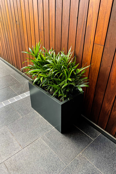 Greenlife Metal Designer Planter Box with Base 600 x 340 x 400mm Charcoal