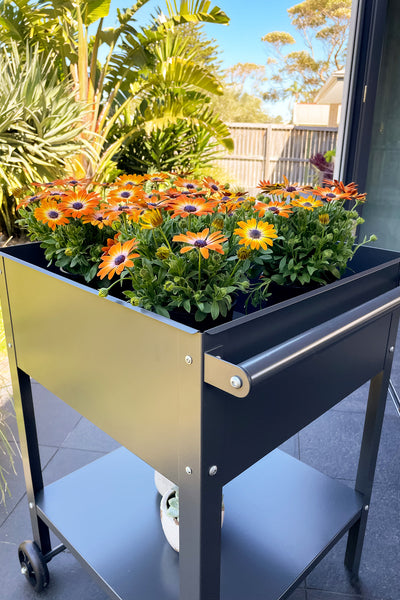 Greenlife Sturdy Mobile Raised Garden Planter Trolley - 550 x 550 x 800mm - Charcoal