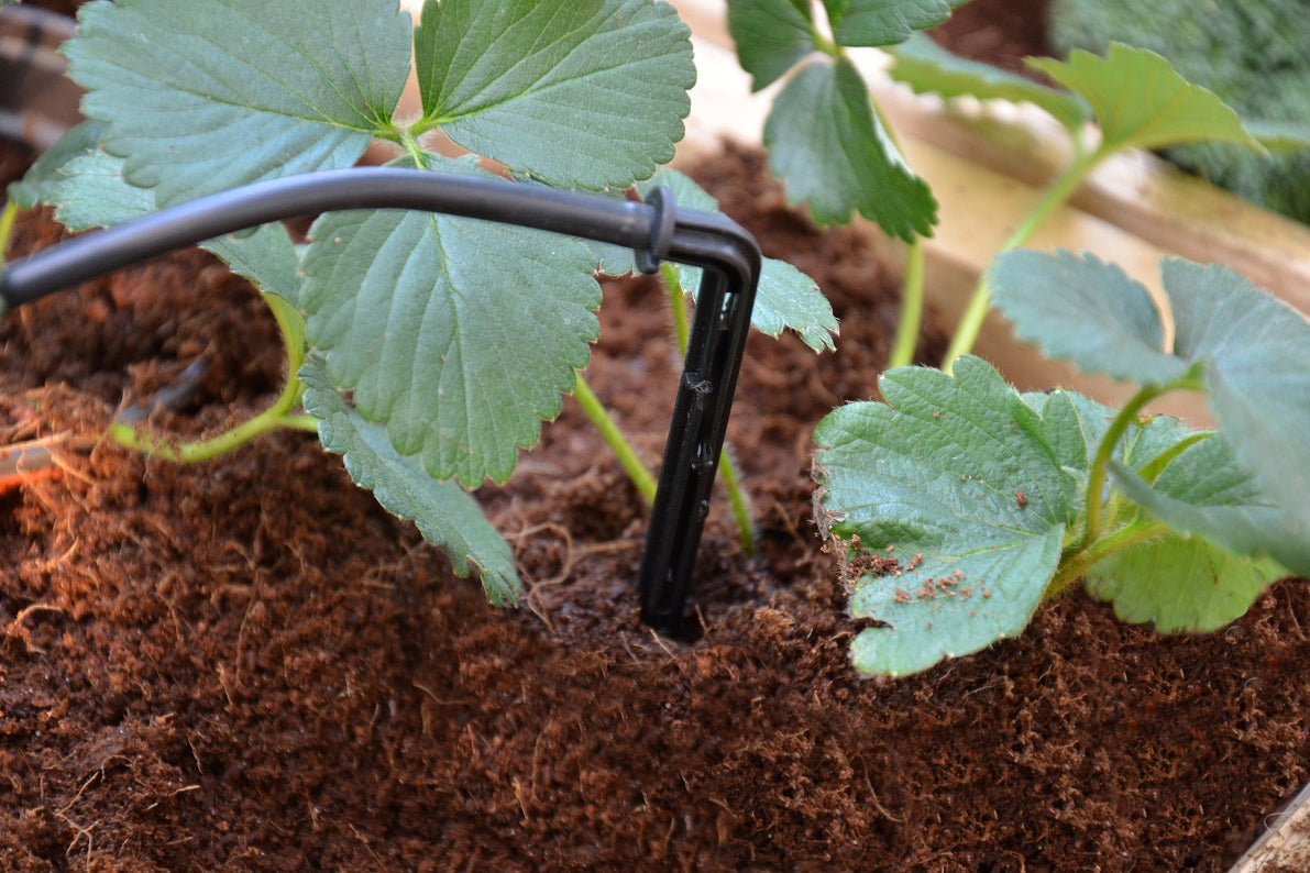 Maze Greenhouse Accessory - Greenhouse Drip Kit