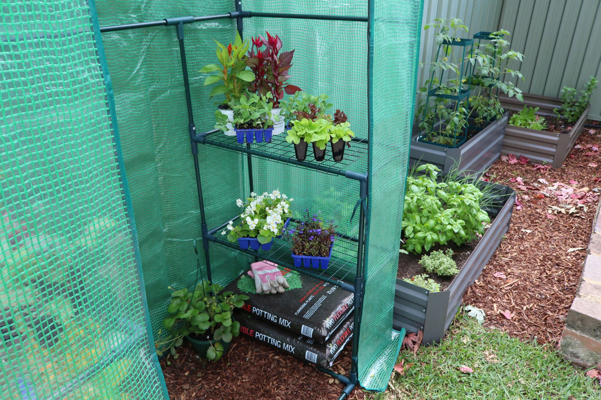 Greenlife 2 Tier Walk-in Greenhouse with PE Cover 1950 x 1430 x 730mm