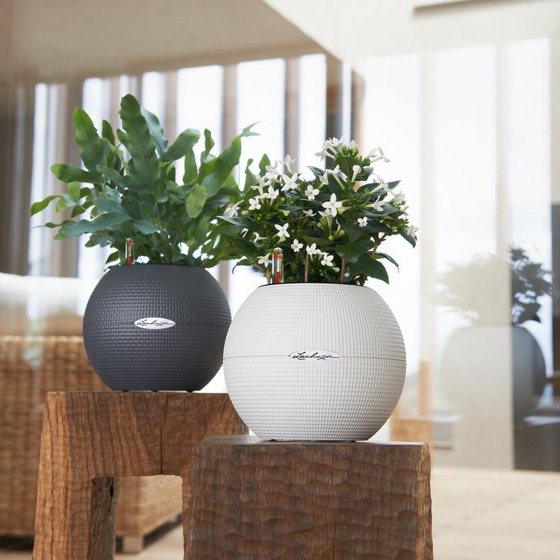 Lechuza Self-Watering Pot - PURO Color 20