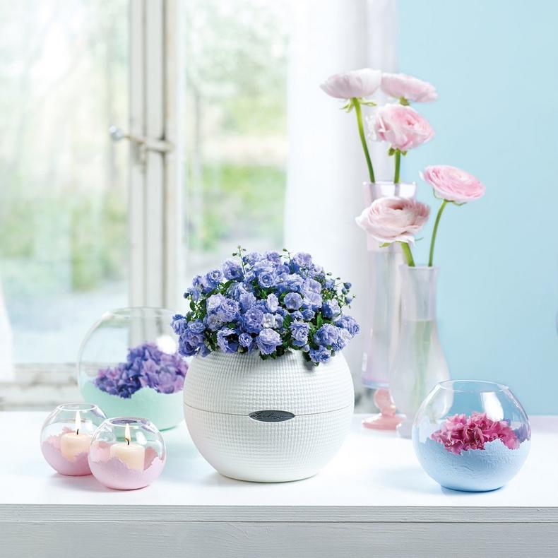 Lechuza Self-Watering Pot - PURO Color 20