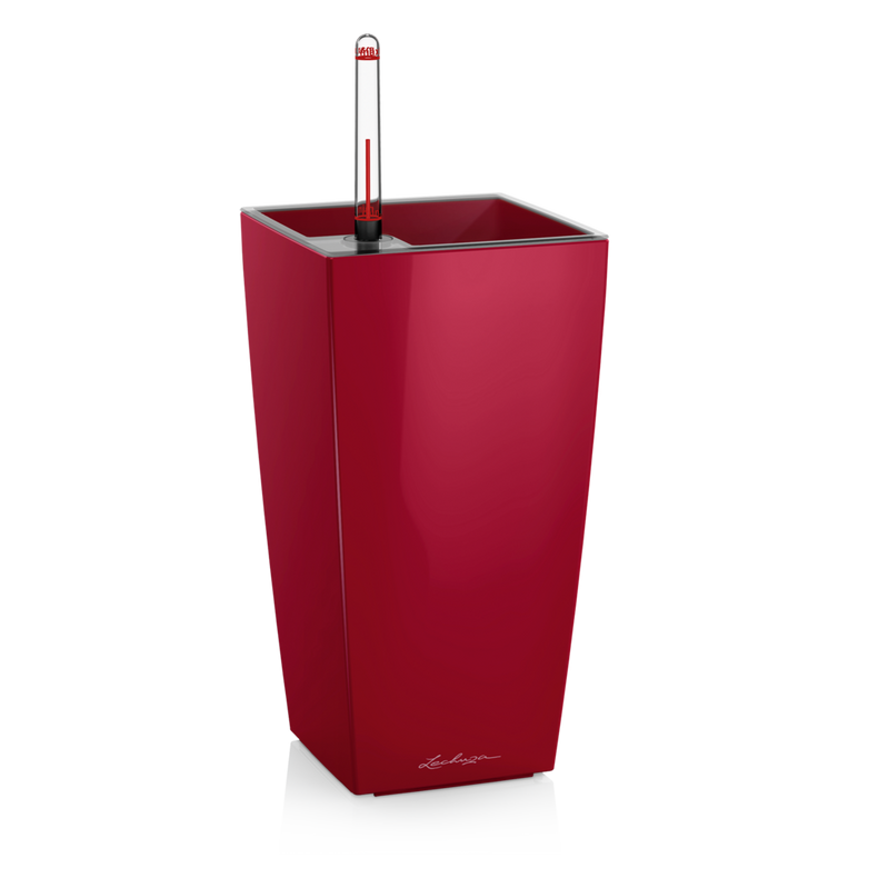 Lechuza Self Watering Pot - MAXI CUBI 14