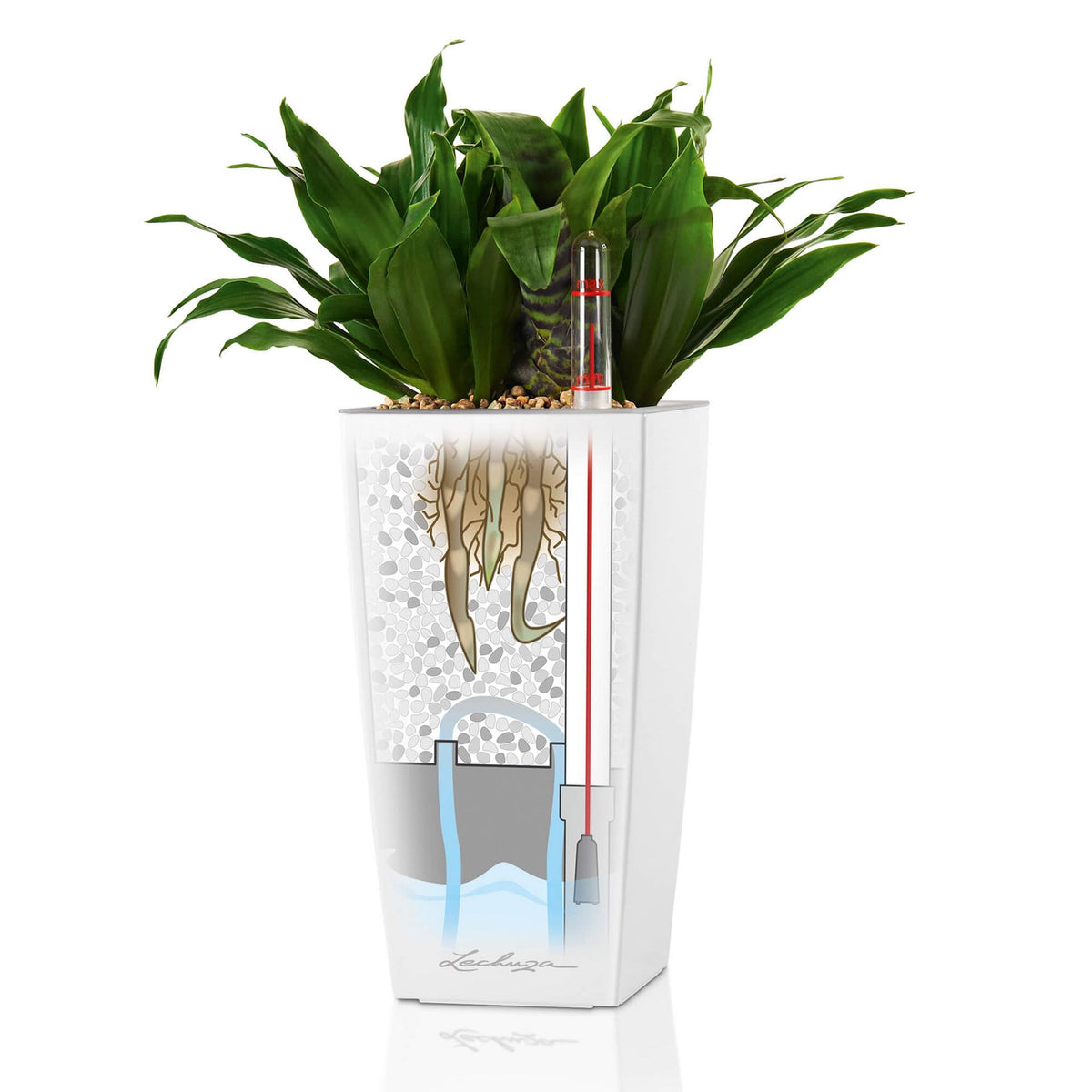 Lechuza Self Watering Pot - MINI CUBI 9