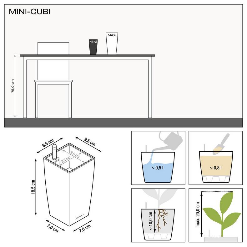Lechuza Self Watering Pot - MINI CUBI 9